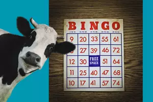 Fun ‘Cow Patty Bingo’ Fundraiser For United Way In June