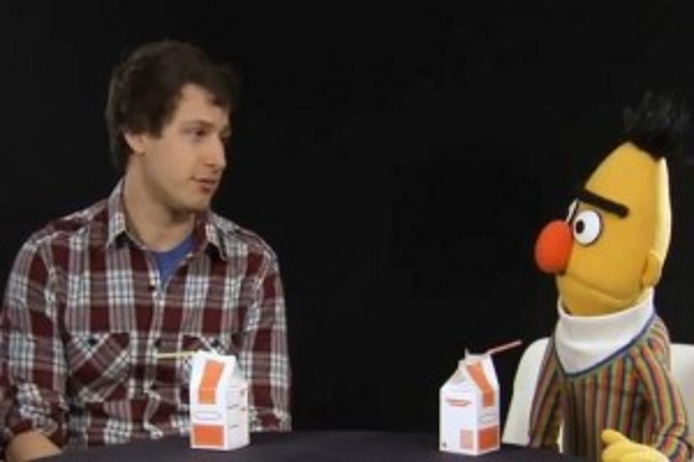Sesame Street’s Bert Interviews Andy Samberg [VIDEO]