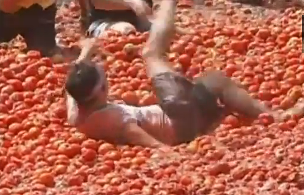 And Now – The War of the Tomatoes [VIDEO]