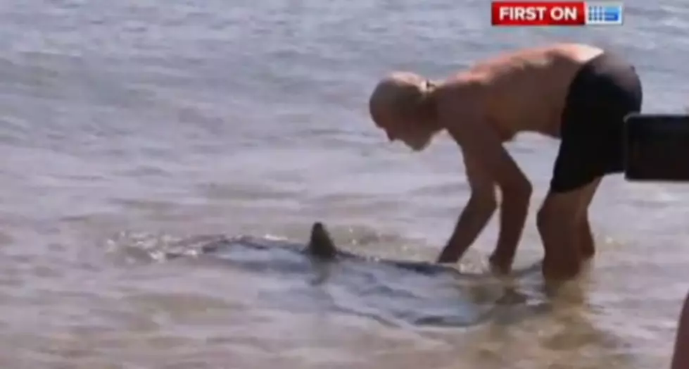 Guy Gets Fired After Shark Wrestling Video Goes Viral [VIDEO]