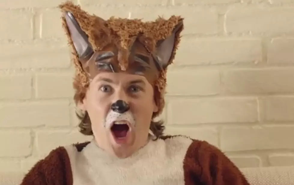 Norwegian Band Ylvis Release Hilarious Song and Video of the Summer with ‘The Fox’