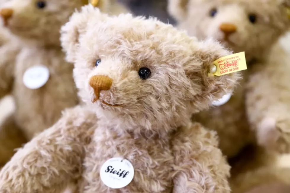 Teddy Bear Toss Collects Thousands of Toys for Kids [VIDEO]