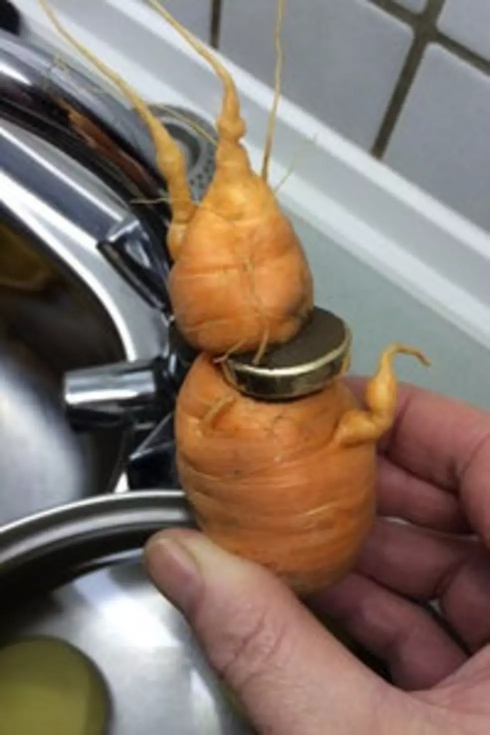 Man’s Lost Wedding Ring Reappears 3 Years Later Wrapped Around a Carrot