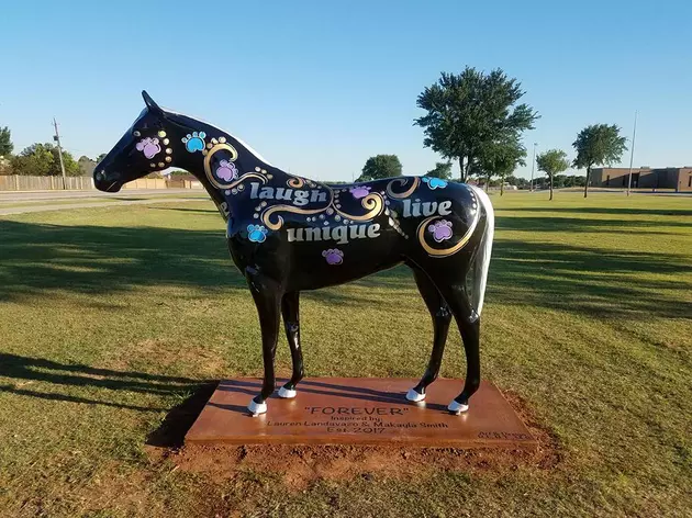 Mane Event Horse Honoring Lauren Landavazo and Makayla Smith Unveiled