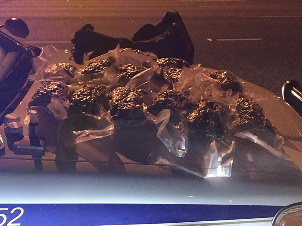 Wichita Falls Police Seize Over 16 Pounds of Marijuana During Traffic Stop