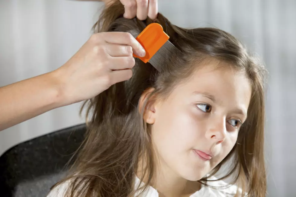 New Lice Law For Texas Schools Now in Effect