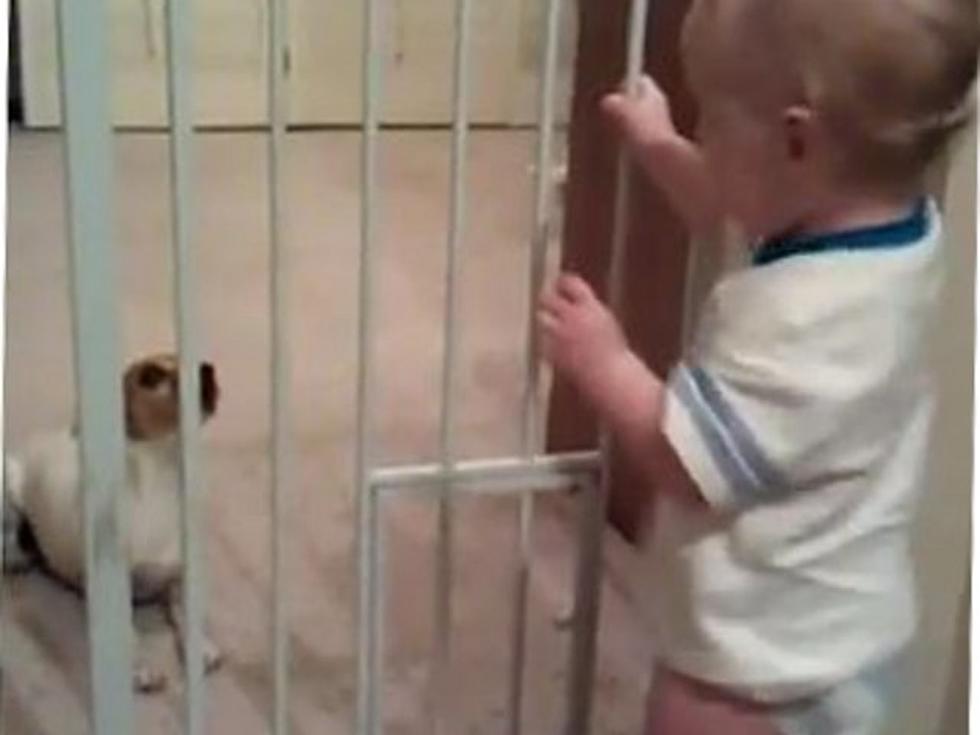 Baby and Puppy Converse In Secret, High-Pitched Language [VIDEO]