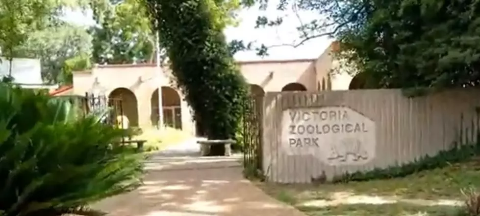 Victoria, Don't Forget About The Texas Zoo, Please.