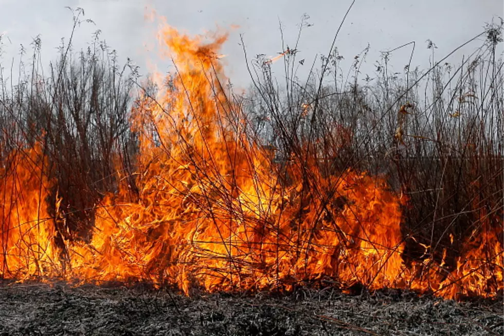 Burning Questions For Victoria During a Burn Ban