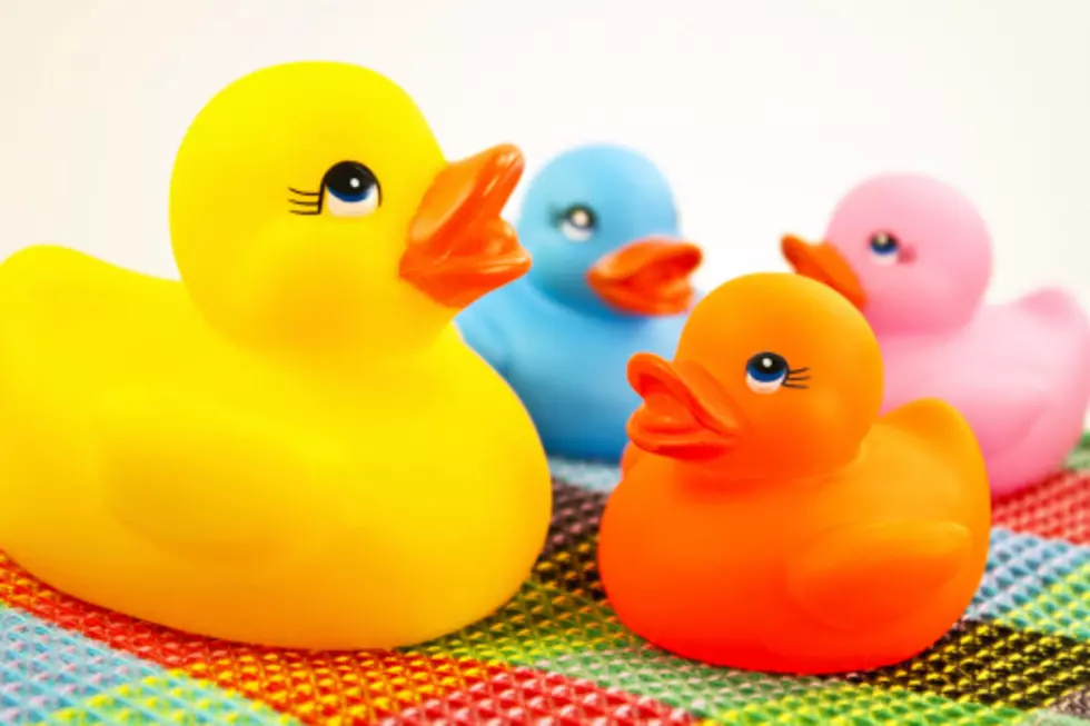 10,000 Rubber Ducks Will Be Rolling… Rolling  Down the River
