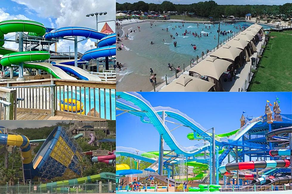 Who is Ready for Waterpark Fun?