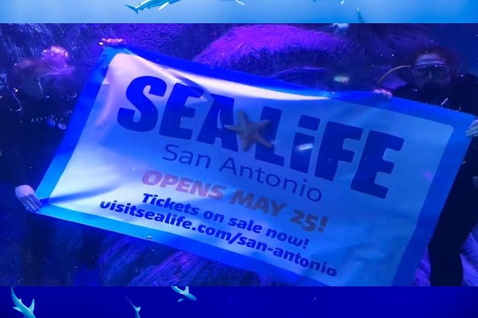 New Underwater Adventure Opening Next Month in San Antonio