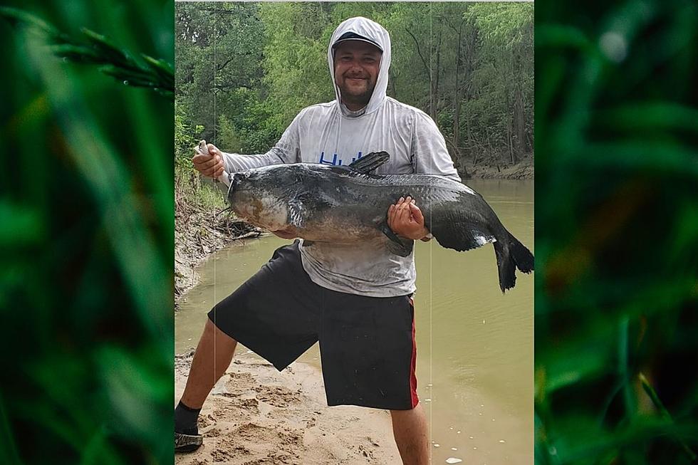 A Big Catch in the San Antonio River