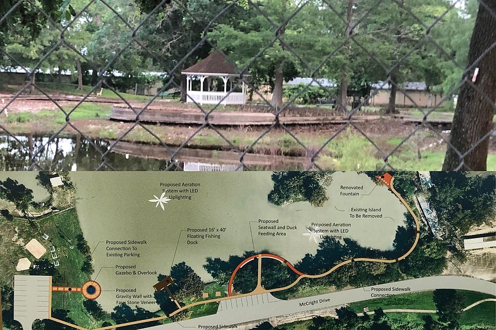Victoria&#8217;s Reimagined Duck Pond is Inching Closer to Reality
