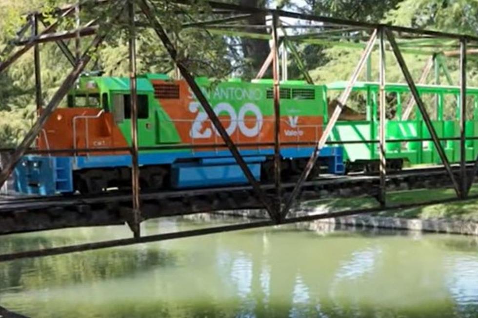 The San Antonio Zoo&#8217;s Three New Trains Are On Track