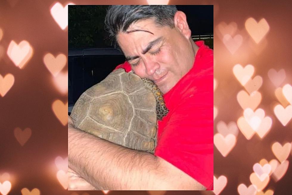 Christmas Came Early for this Texas Tortoise Lover