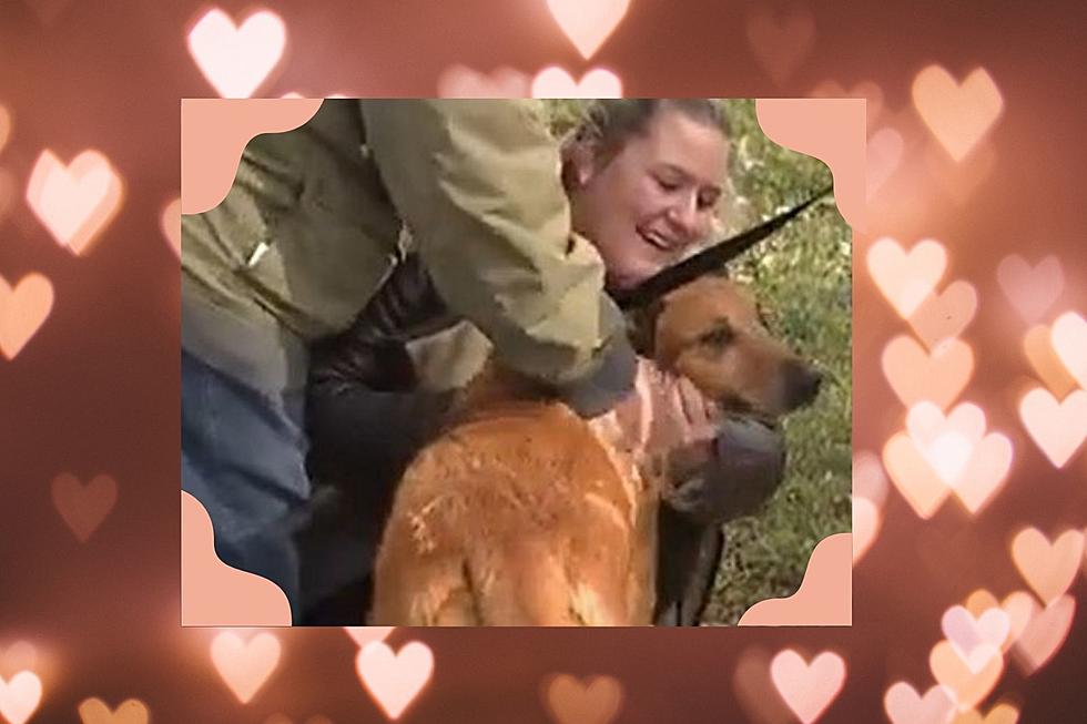 A Happy Ending as Texas Dog Missing For Three Years is Found