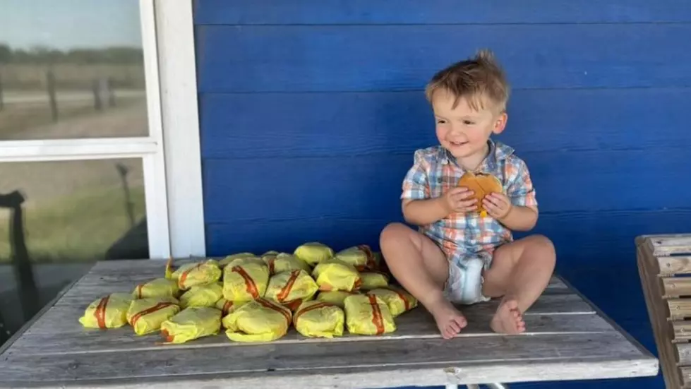 Texas 2 Year Old Orders 31 Cheeseburgers On His Moms Phone