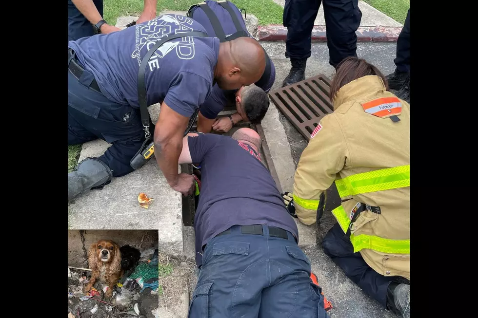 SA Fire Department Rescues 3 Puppies from Drainage Tunnel