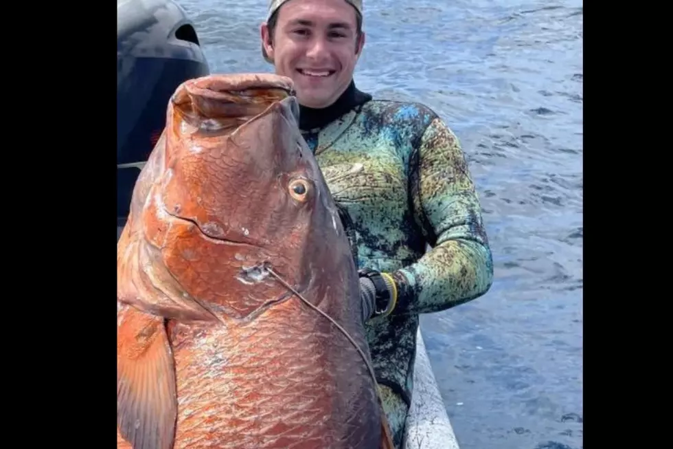 Texas Spear Fisher Might Have Just Shattered a World Record in Port Aransas
