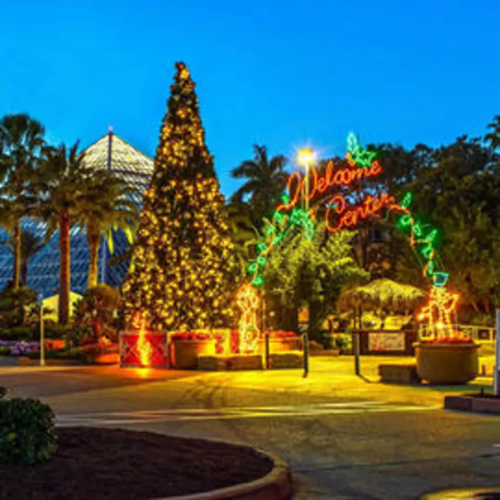 Moody Gardens is Bringing Back Iceland for the Christmas Season