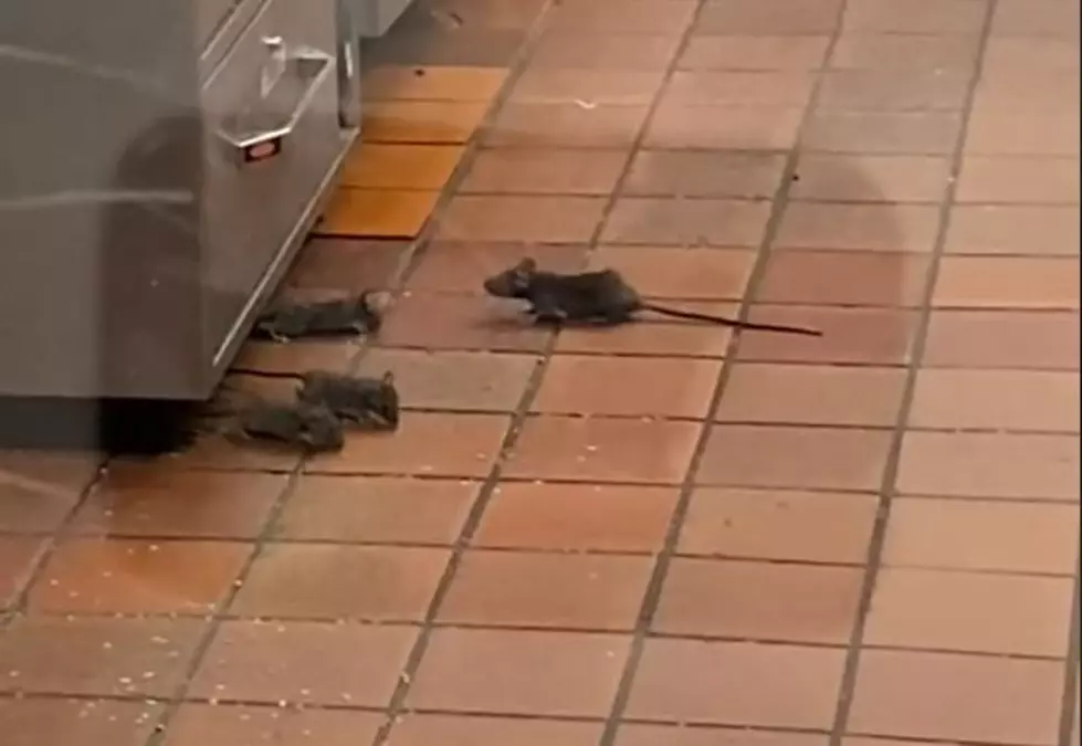 Video Shows Rats Running Around in San Antonio Taco Cabana