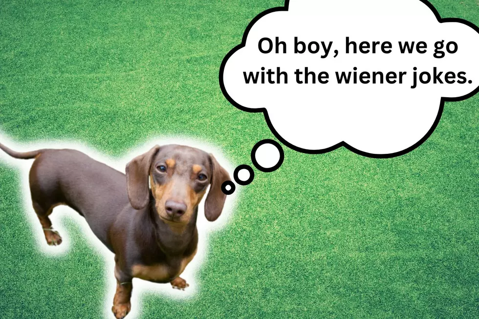 Who Has the Fastest Wiener in Texas