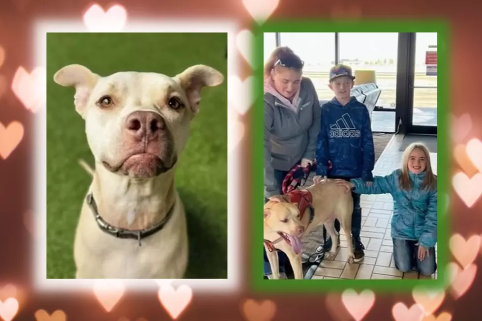 Sweet Puppy Reunites With His TX Family 5 Years After Hurricane