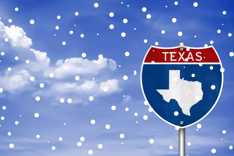 Bundle Up Buttercup Snow Is Headed To The Great State of Texas