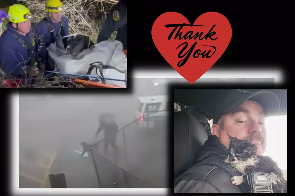 Three Times This Year Texas First Responders Prove They Love Pets