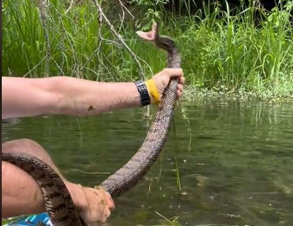 VIDEO: TX Man Casually Grabs Snake While Tubing the San Marcos