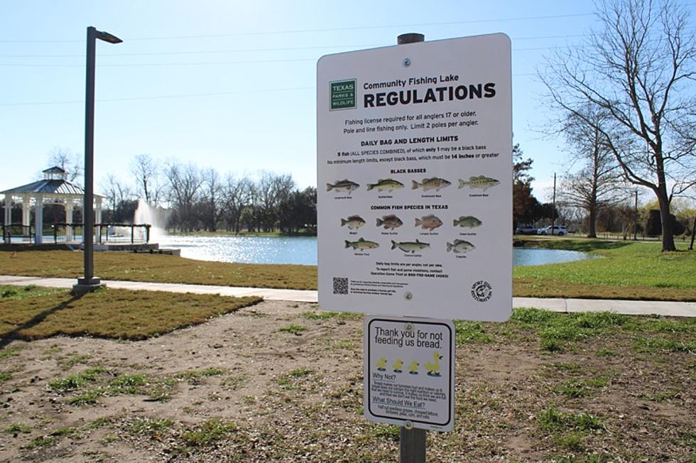 The Duck Pond at Riverside Park Has Been Stocked with Rainbow Trout