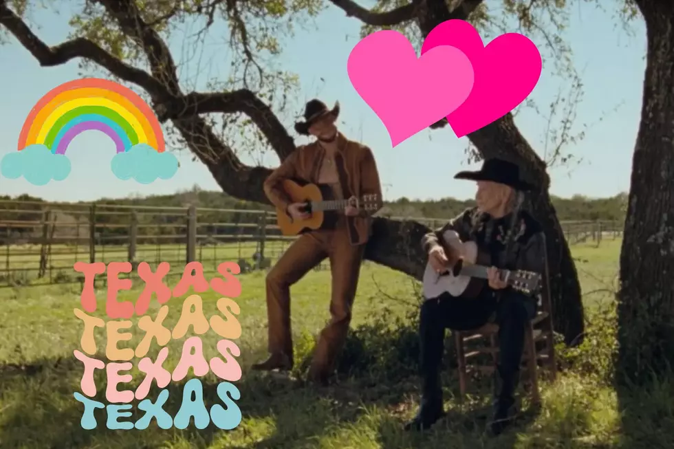 Willie Nelson does Gay song in Texas