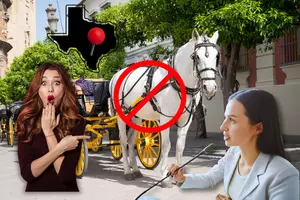No More Horse-Drawn Carriages in Downtown San Antonio?