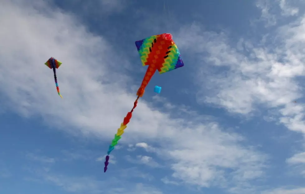 Family Fun &#8211; Kites For Life at LSU-S This Weekend
