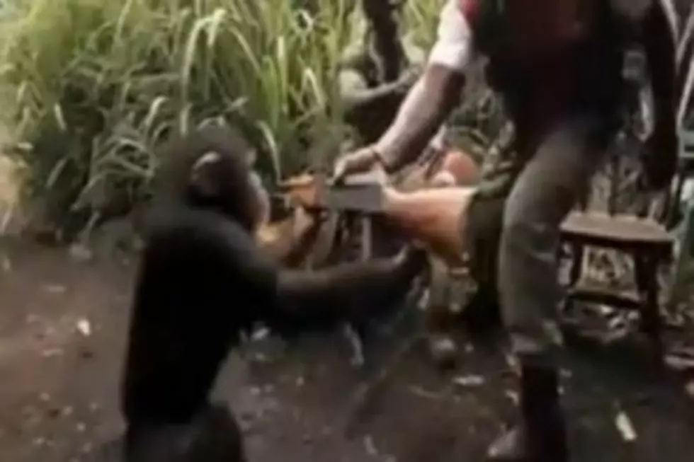 Do NOT do this at home – Monkey with gun [VIDEO]