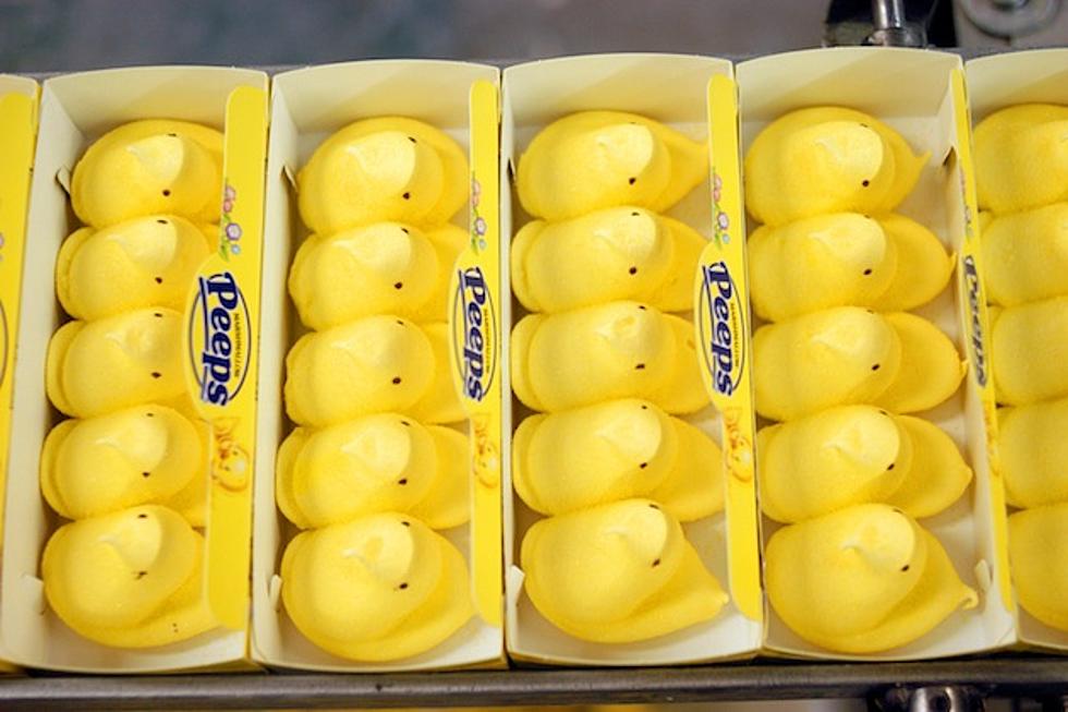 10 Awesome Videos of Marshmallow Peep Torture-See What They Change Into