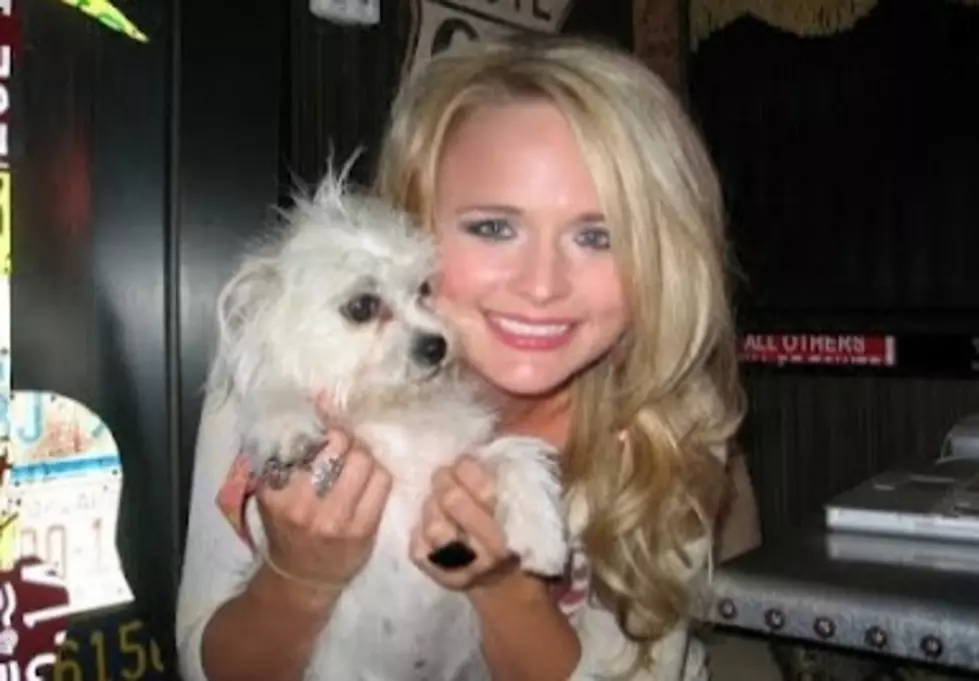Miranda Lambert Changes Location For Annual ‘Paws’ Event