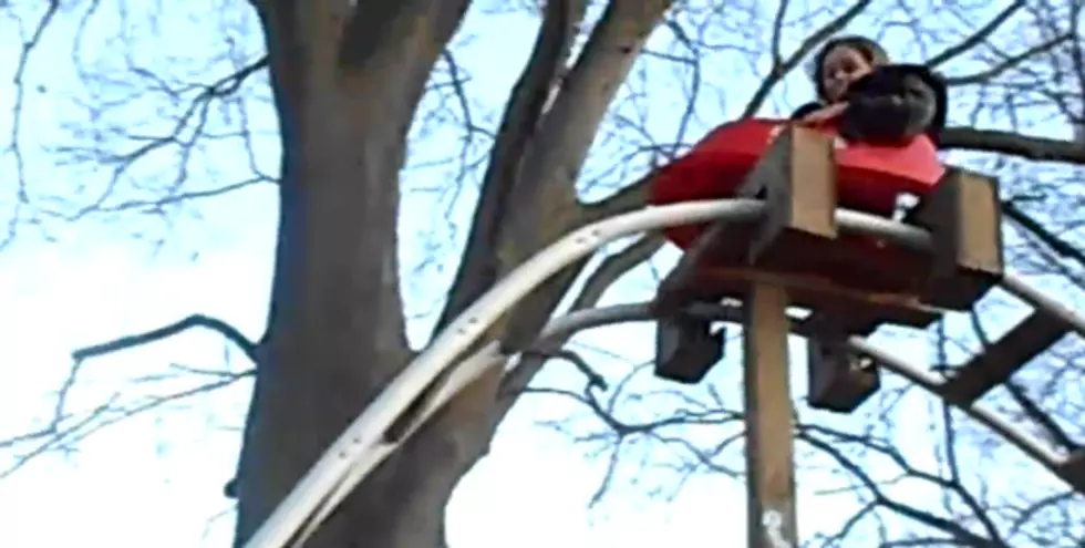 Watch These Parents Send Three Year Old on Homemade Roller Coaster