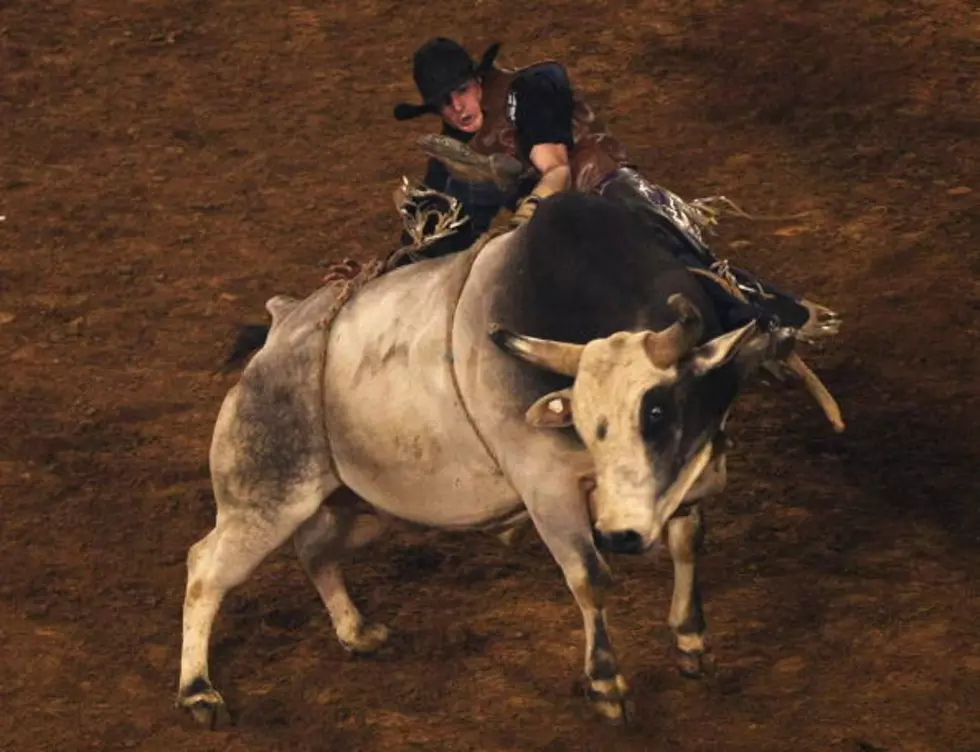 Video Features Some of the CBR’s Best Bull Riding Wrecks