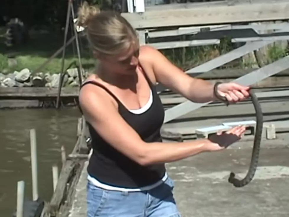 Watch This Crazy Lady Grab Snakes with No Fear [Video]