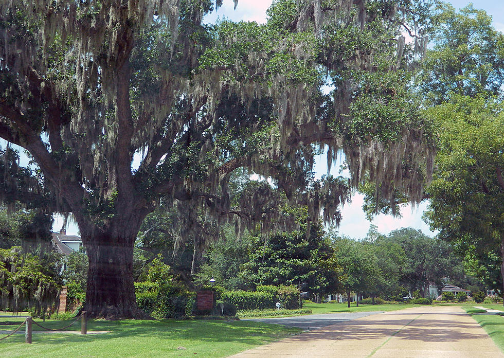 The Best Towns to Get Away From It All in Louisiana