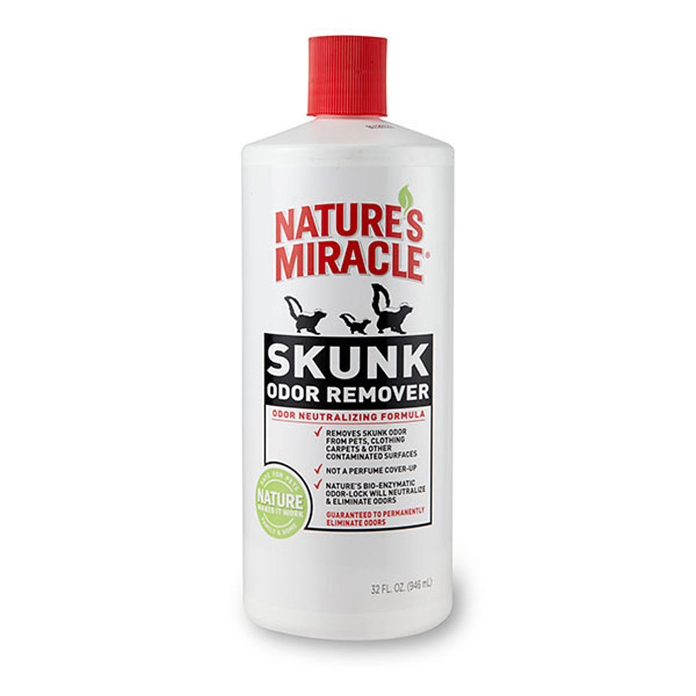 How to Get Rid of the Smell After a Skunk Sprays Your Pets