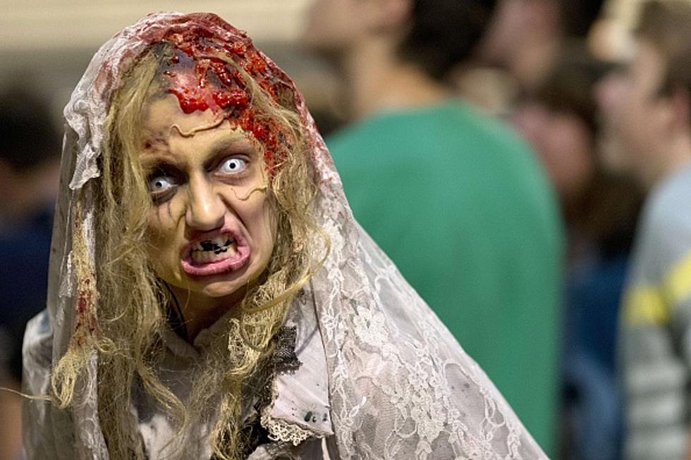 This Year&#8217;s SBC Zombie Walk is Pet Friendly