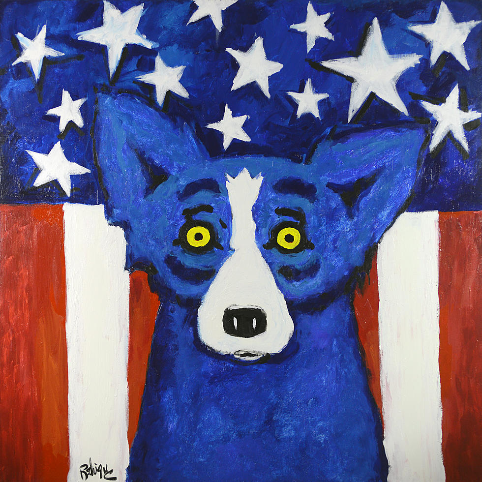 Blue Dog Wants You!