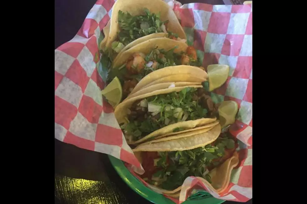 Searching For the Best Taco Tuesday Spot