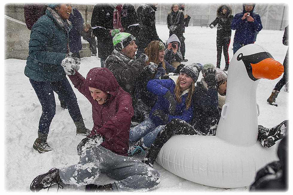 Snowball Fight This Afternoon in Betty Virginia Park!