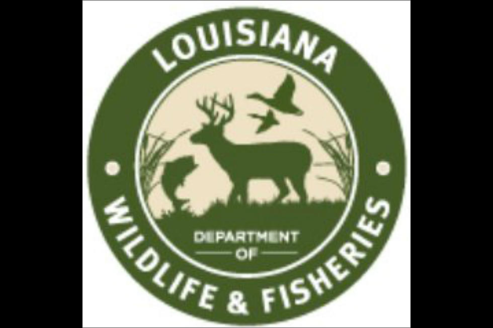 Great News For Renewing Louisiana Hunting/Fishing Licenses
