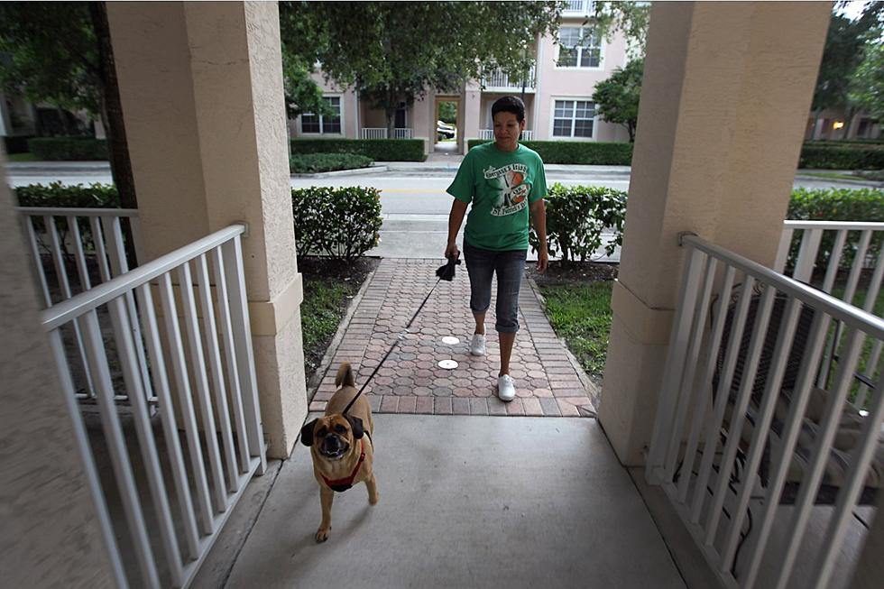Woman Retaliates By Rubbing Dog Poop on Neighbor’s Door