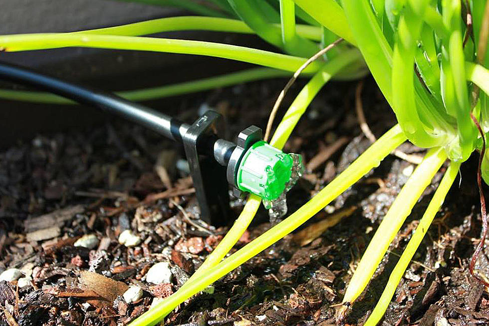 Conserve Water with Conserva Irrigation